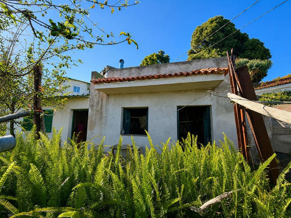Finca i La Florida, Tenerife - foto 5
